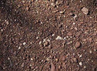 Manufacturing top soil and sustainability