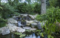 Summer pond maintenance