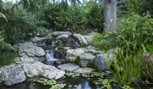 Summer pond maintenance