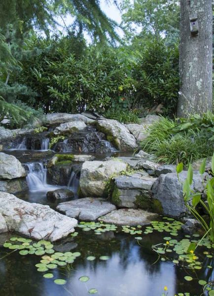 Summer pond maintenance