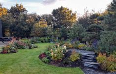 Chelsea Flower Show highlights from past years