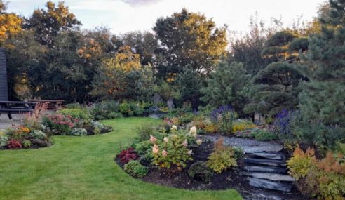 Chelsea Flower Show highlights from past years