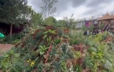 Mark Gregory packs up the Chelsea gardens