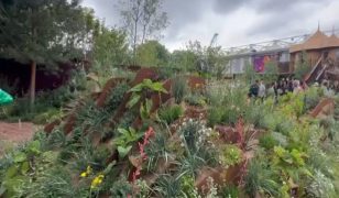 Mark Gregory packs up the Chelsea gardens