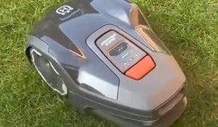 Robot mowers can handle domestic gardens and large fields