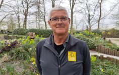 Dutch bulb company gets ready for Keukenhof display