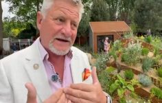 Mark Gregory at Hampton Court Palace Garden Festival