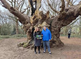 Great Tree Beauties 2: Old Knobbley in Mistley