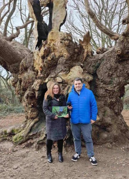 Great Tree Beauties 2: Old Knobbley in Mistley