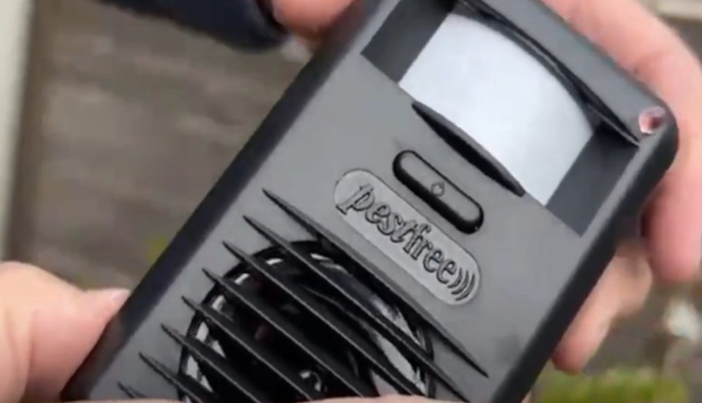 Ultrasonic unit to deter cats and foxes