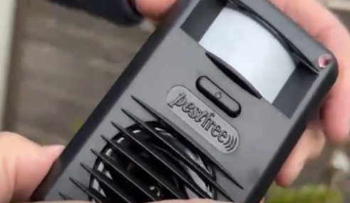 Ultrasonic unit to deter cats and foxes