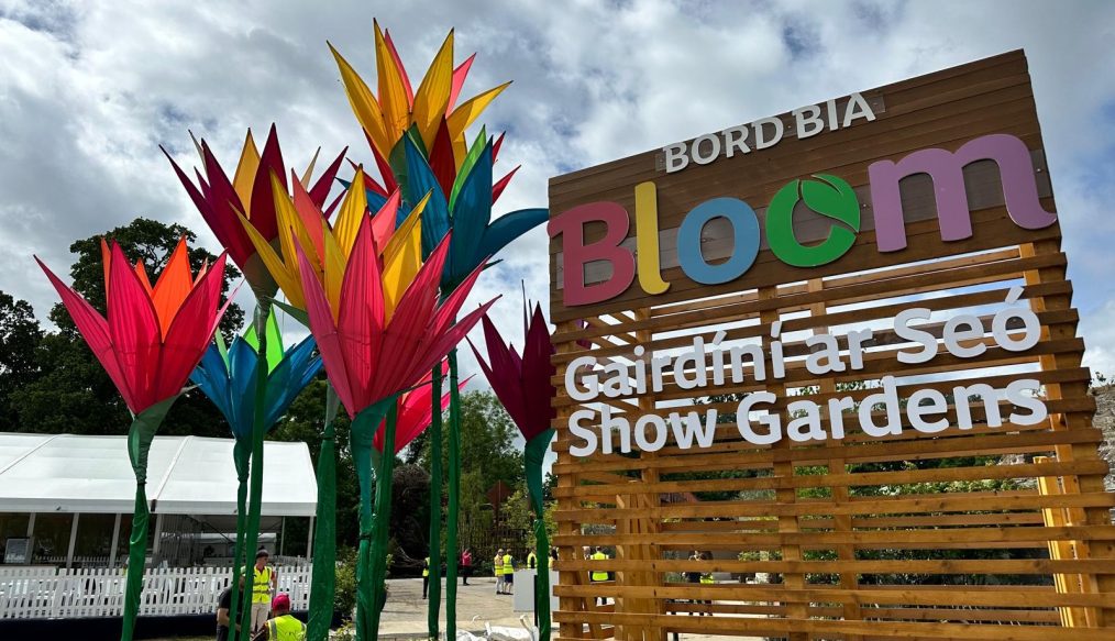 Ireland’s largest gardening festival starts