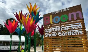 Ireland’s largest gardening festival starts