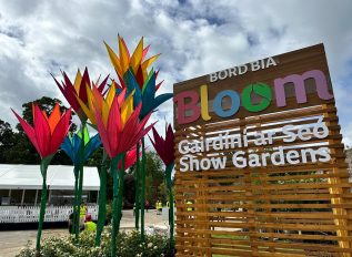 Ireland’s largest gardening festival starts