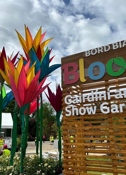 Ireland’s largest gardening festival starts