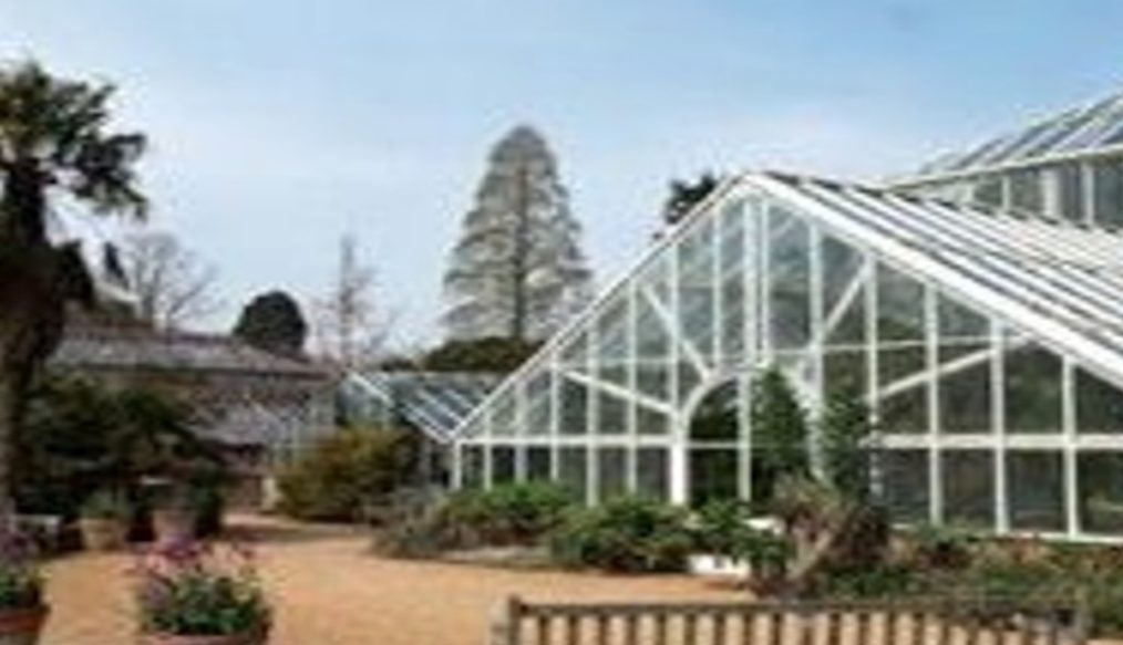 Cambridge University botanic glasshouse