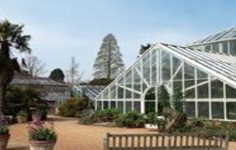 Cambridge University botanic glasshouse