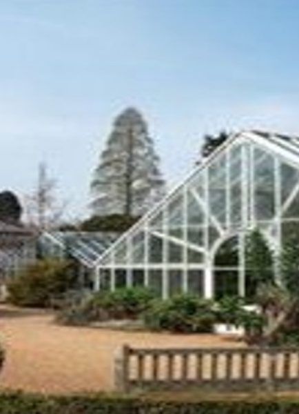 Cambridge University botanic glasshouse