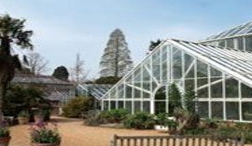 Cambridge University botanic glasshouse