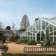 Cambridge University botanic glasshouse