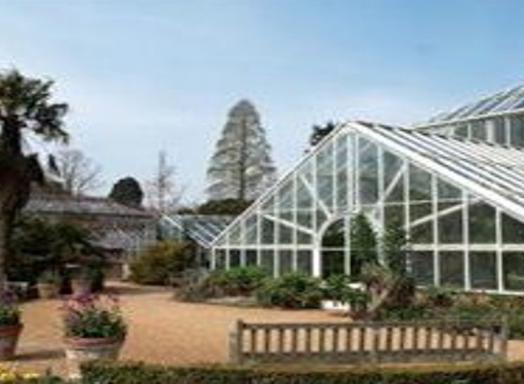 The glasshouse at Cambridge University Botanic Garden.