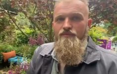 Pack a small space with plenty for wildlife and help store carbon