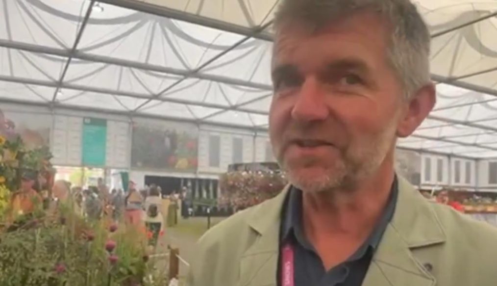 Kniphofia variety showcased at Chelsea