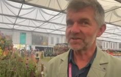 Kniphofia variety showcased at Chelsea