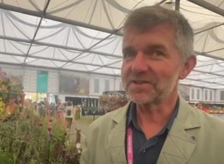 Kniphofia variety showcased at Chelsea