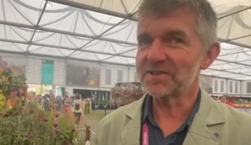 Kniphofia variety showcased at Chelsea