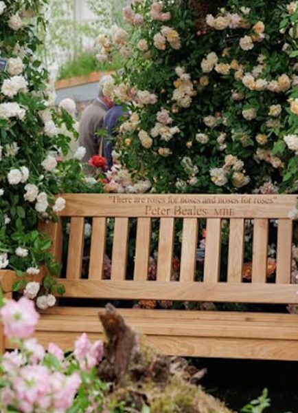 New rose launch and 30th gold medal success