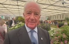 Peat-free clematis at Chelsea