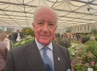 Peat-free clematis at Chelsea