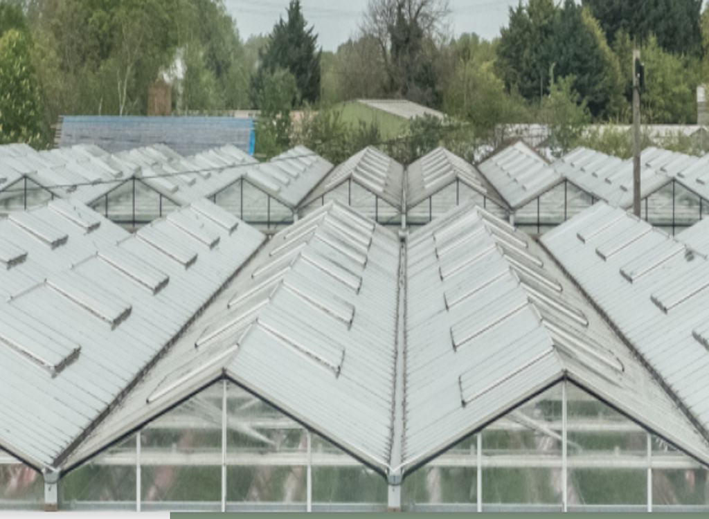 Glasshouses in the Lea Valley.
