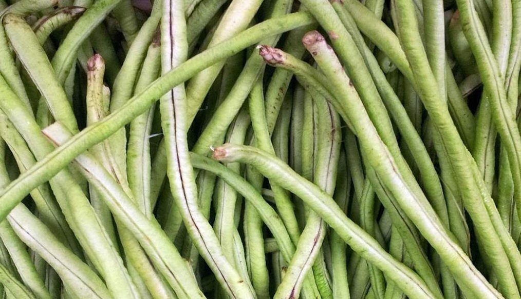 What to do with your French beans as they come to an end