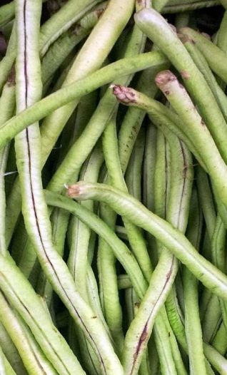 What to do with your French beans as they come to an end