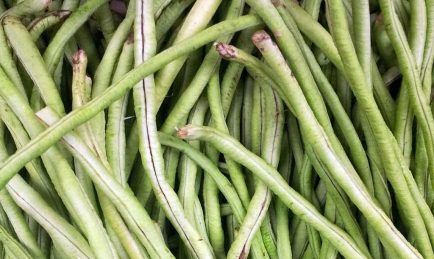 What to do with your French beans as they come to an end