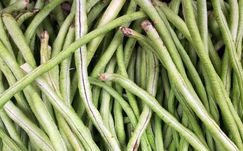 What to do with your French beans as they come to an end