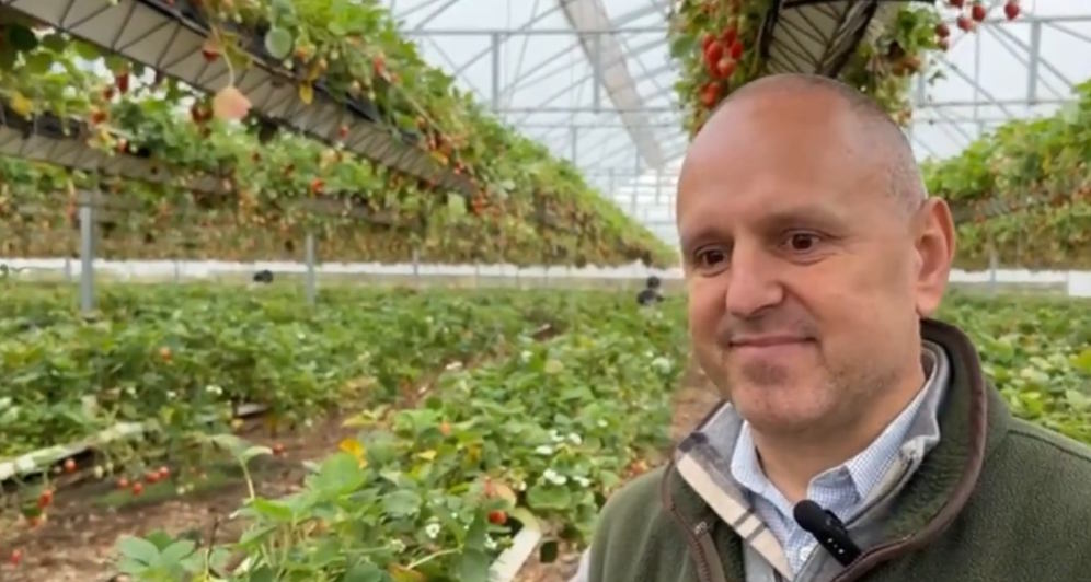 End of season for strawberries at Tiptree