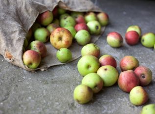 Making juice by pressing apples in Norfolk
