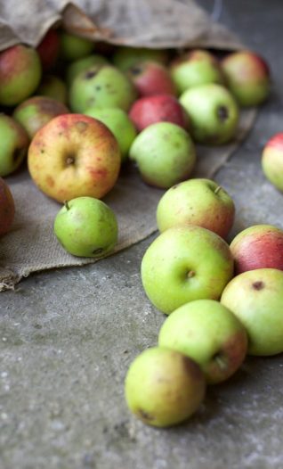 Making juice by pressing apples in Norfolk
