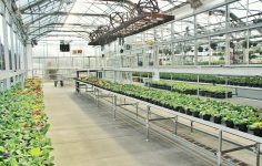 Get ready for spring 2026