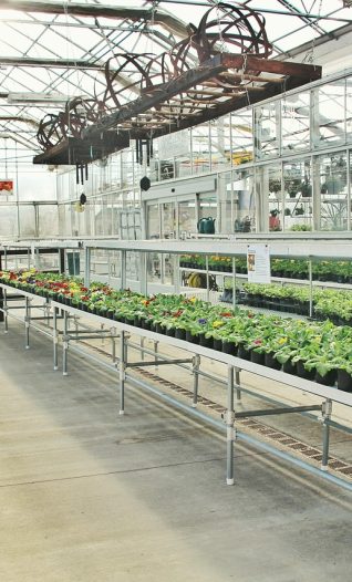 Get ready for spring 2026