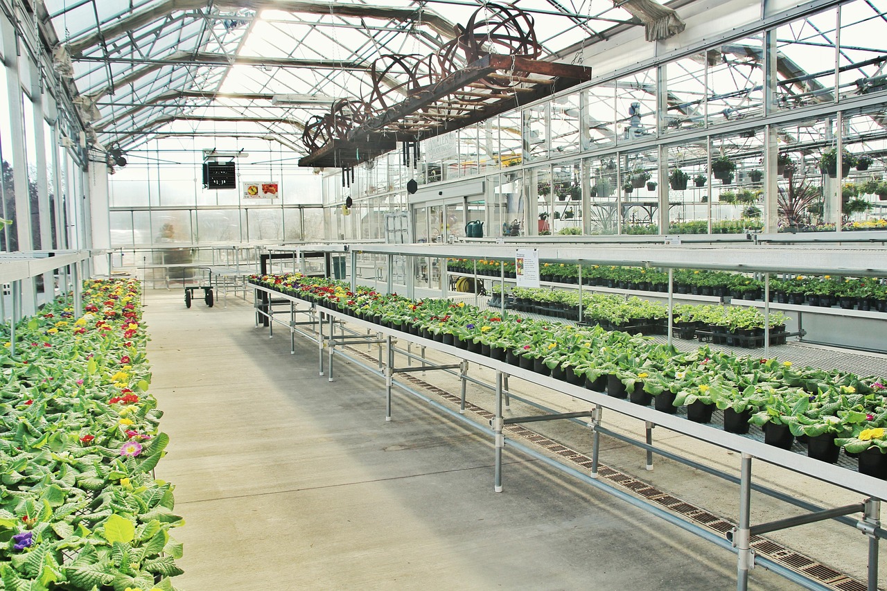 Inside a greenhouse for garden centres