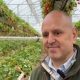 End of season for strawberries at Tiptree